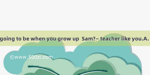 —What are you going to be when you grow up  Sam?— teacher like you.A. ABAnC. TheD. /