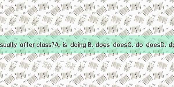 What  he usually  after class?A. is  doing B. does  doesC. do  doesD. does  do