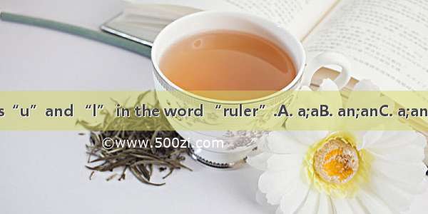 There is“u”and “l” in the word “ruler”.A. a;aB. an;anC. a;an D. an;a