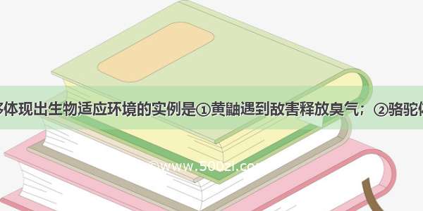 以下现象能够体现出生物适应环境的实例是①黄鼬遇到敌害释放臭气；②骆驼体温升至46℃