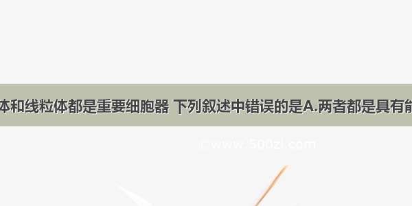 单选题叶绿体和线粒体都是重要细胞器 下列叙述中错误的是A.两者都是具有能量转换的功