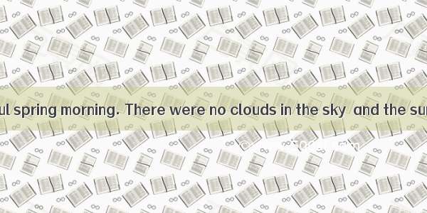 It was a beautiful spring morning. There were no clouds in the sky  and the sun is warm bu