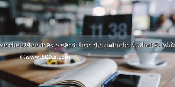 The first thing we should do is to protect the wild animals .A. that B. which C. whatD. ho