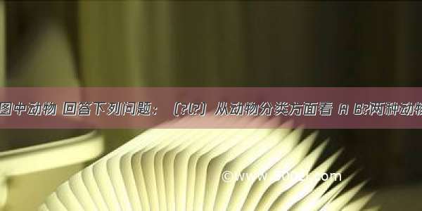 仔细观察图中动物 回答下列问题：（?l?）从动物分类方面看 A B?两种动物与C D E