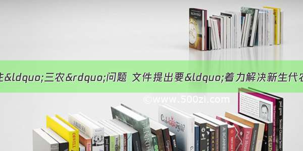 中央一号文件继续关注“三农”问题 文件提出要“着力解决新生代农民工问题”。