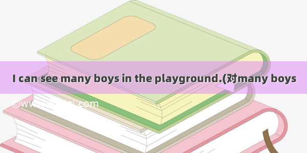 I can see many boys in the playground.(对many boys