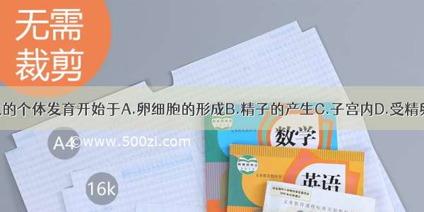 单选题人的个体发育开始于A.卵细胞的形成B.精子的产生C.子宫内D.受精卵的形成