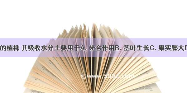 正在结番茄的植株 其吸收水分主要用于A. 光合作用B. 茎叶生长C. 果实膨大D. 蒸腾作用