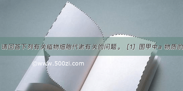 （共10分）请回答下列有关植物细胞代谢有关的问题。（1）图甲中a 物质的形成过程中 