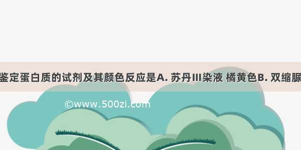 下列用于鉴定蛋白质的试剂及其颜色反应是A. 苏丹Ⅲ染液 橘黄色B. 双缩脲试剂 紫色