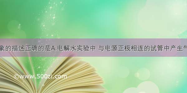 下列实验现象的描述正确的是A.电解水实验中 与电源正极相连的试管中产生气体的速度快