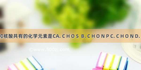 蛋白质和核酸共有的化学元素是CA. C H O S  B. C H O N P C. C H O N D. C H O P