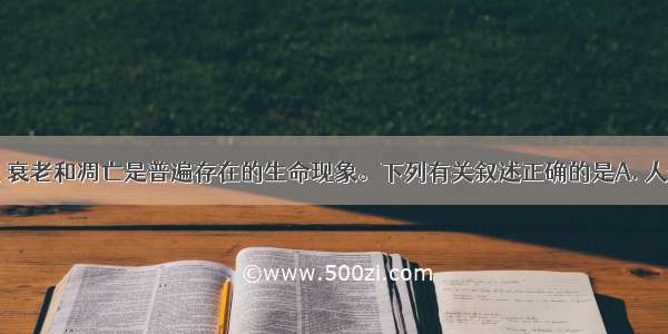 细胞的分化 衰老和凋亡是普遍存在的生命现象。下列有关叙述正确的是A. 人体各组织细