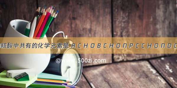 蛋白质和核酸中共有的化学元素是 A C H O B C H O N P C C H O N D C H O P