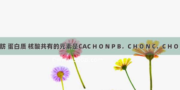 糖类 脂肪 蛋白质 核酸共有的元素是CAC H O N P B．C H O N C．C H O D．O H