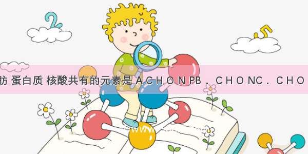 糖类 脂肪 蛋白质 核酸共有的元素是 A C H O N PB． C H O NC． C H O D． O H