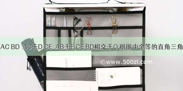 如图 AB=AC BD⊥AC于D CE⊥AB于E CE BD相交于O 则图中全等的直角三角形有（　　