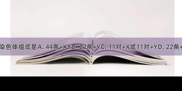 人类精子的染色体组成是A. 44条+XYB. 22条+YC. 11对+X或11对+YD. 22条+Y或22条+X