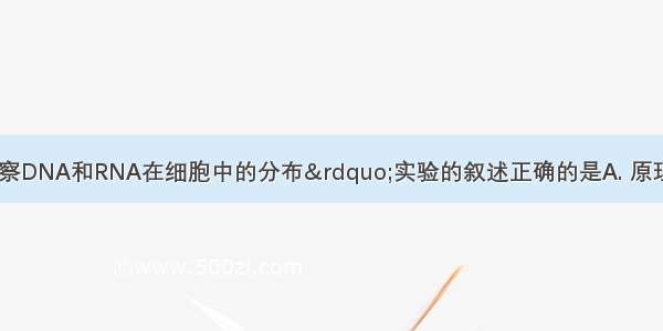 下列关于“观察DNA和RNA在细胞中的分布”实验的叙述正确的是A. 原理：两种染色剂对DN