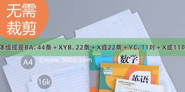 人类精子的染色体组成是BA. 44条＋XYB. 22条＋X或22条＋YC. 11对＋X或11对＋YD. 22条＋Y