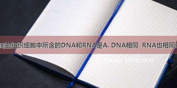 大熊猫身体不同的组织细胞中所含的DNA和RNA是A. DNA相同  RNA也相同B. DNA相同 R