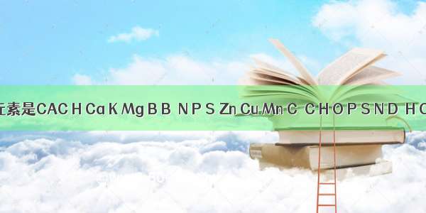 组成水稻的主要元素是CAC H Ca K Mg B B．N P S Zn Cu Mn C．C H O P S N D．H O Fe B Zn Mg