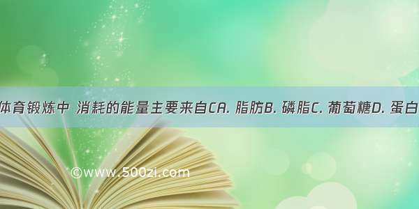 在体育锻炼中 消耗的能量主要来自CA. 脂肪B. 磷脂C. 葡萄糖D. 蛋白质