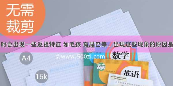 在人类中有时会出现一些返祖特征 如毛孩 有尾巴等。出现这些现象的原因是细胞的下列