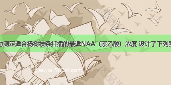 某生物小组为测定适合杨树枝条扦插的最适NAA（萘乙酸）浓度 设计了下列实验步骤：①