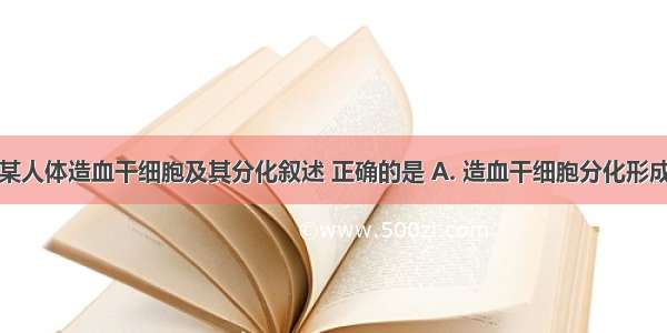 下列关于某人体造血干细胞及其分化叙述 正确的是 A. 造血干细胞分化形成红细胞 B