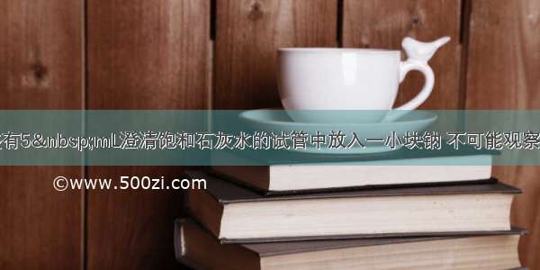 单选题在盛有5&nbsp;mL澄清饱和石灰水的试管中放入一小块钠 不可能观察到的现象是