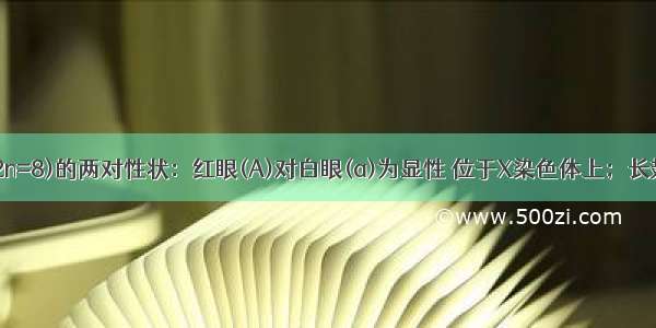 （1）果蝇(2n=8)的两对性状：红眼(A)对白眼(a)为显性 位于X染色体上；长翅(B)对残翅(