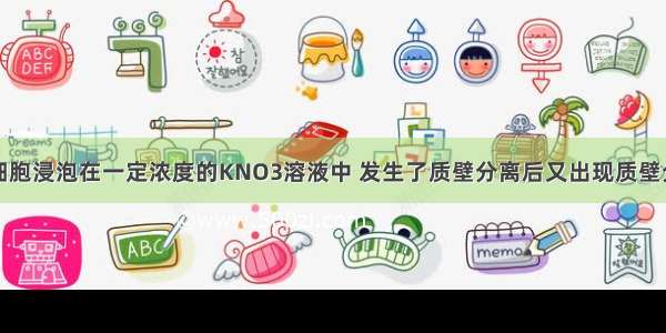 将洋葱表皮细胞浸泡在一定浓度的KNO3溶液中 发生了质壁分离后又出现质壁分离复原现象