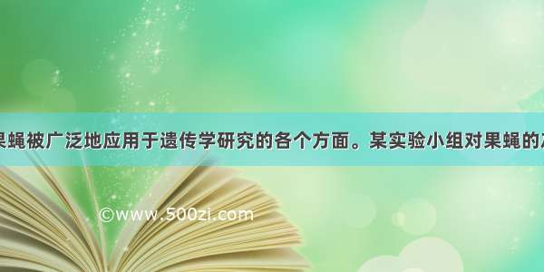 长久以来 果蝇被广泛地应用于遗传学研究的各个方面。某实验小组对果蝇的灰身和黑身 