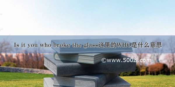 Is it you who broke the glass这里的WHO是什么意思