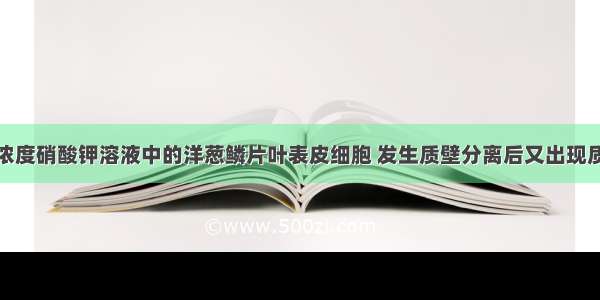 浸泡在一定浓度硝酸钾溶液中的洋葱鳞片叶表皮细胞 发生质壁分离后又出现质壁分离复原