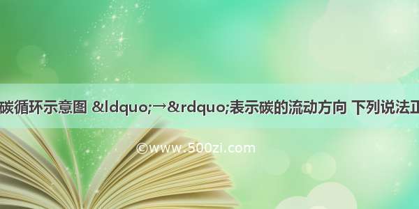 下图是生态系统中碳循环示意图 &ldquo;→&rdquo;表示碳的流动方向 下列说法正确的是A.图中A是