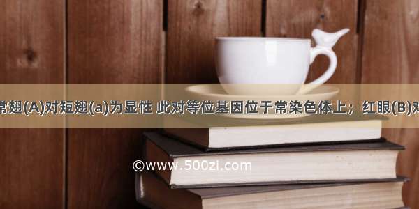 果蝇中 正常翅(A)对短翅(a)为显性 此对等位基因位于常染色体上；红眼(B)对白眼(b)为