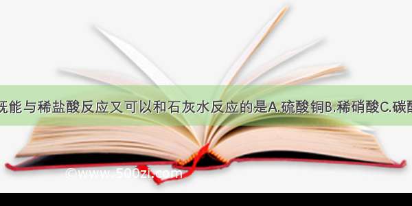 下列物质中既能与稀盐酸反应又可以和石灰水反应的是A.硫酸铜B.稀硝酸C.碳酸钠D.氧化铁