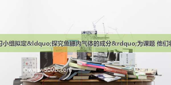 育才中学研究性学习小组拟定&ldquo;探究鱼鳔内气体的成分&rdquo;为课题 他们将收集的鱼鳔固定在