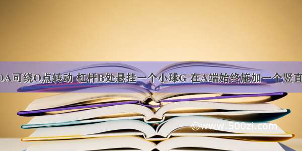 1.轻质杠杆OA可绕O点转动 杠杆B处悬挂一个小球G 在A端始终施加一个竖直向上的拉力 