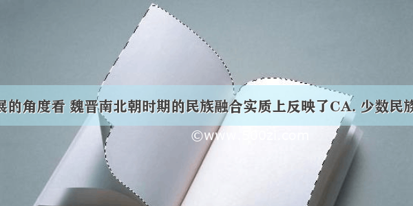 从社会发展的角度看 魏晋南北朝时期的民族融合实质上反映了CA. 少数民族的汉化B. 