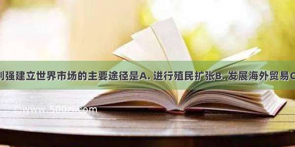 资本主义列强建立世界市场的主要途径是A. 进行殖民扩张B. 发展海外贸易C. 发展资本