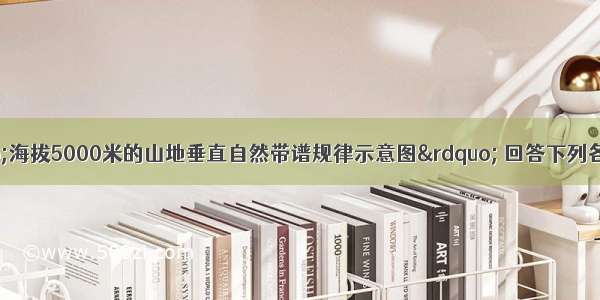 读下面四幅&ldquo;海拔5000米的山地垂直自然带谱规律示意图&rdquo; 回答下列各题。【小题1】四