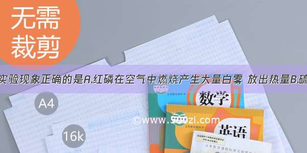 以下描述的实验现象正确的是A.红磷在空气中燃烧产生大量白雾 放出热量B.硫在空气中燃