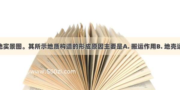 下图为某地实景图。其所示地质构造的形成原因主要是A. 搬运作用B. 地壳运动C. 变质