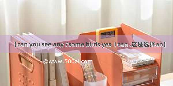 【can you see any /some birds yes  I can .这是选择an】