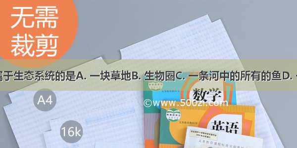 下列不属于生态系统的是A. 一块草地B. 生物圈C. 一条河中的所有的鱼D. 一片农田