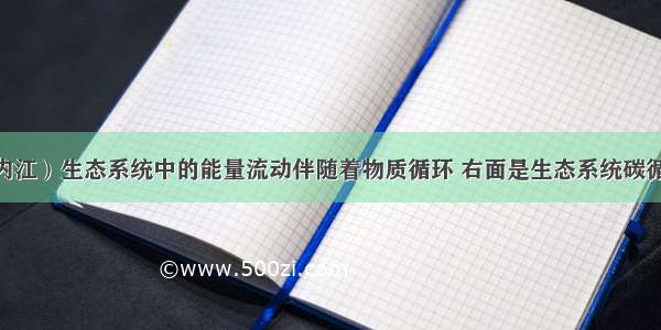 （·内江）生态系统中的能量流动伴随着物质循环 右面是生态系统碳循环示意图。下