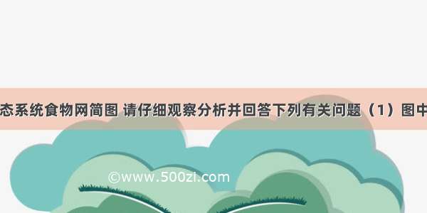 如图是某生态系统食物网简图 请仔细观察分析并回答下列有关问题（1）图中的植物利用